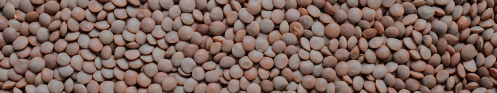 Brown Lentils Whole