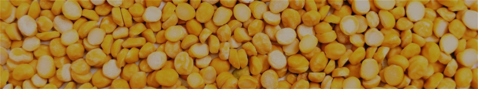 Chana Dal