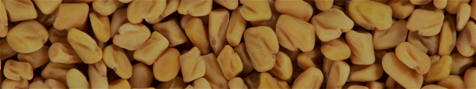 Fenugreek Seed