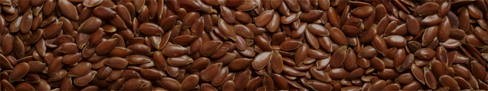 Flax Seed