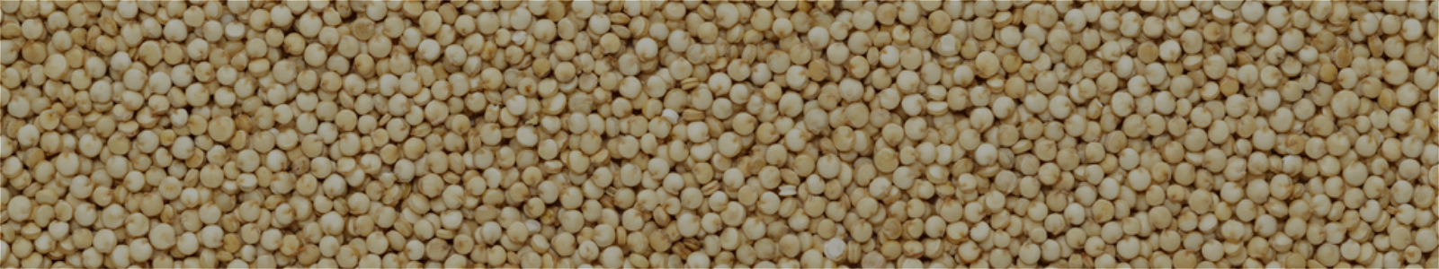 Quinoa Seed