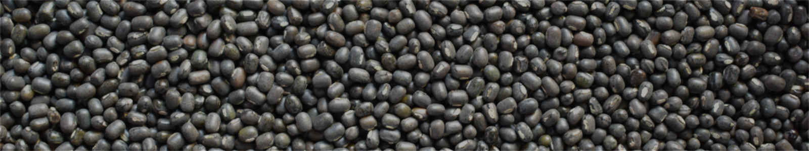 Urad Whole/Split With Husk