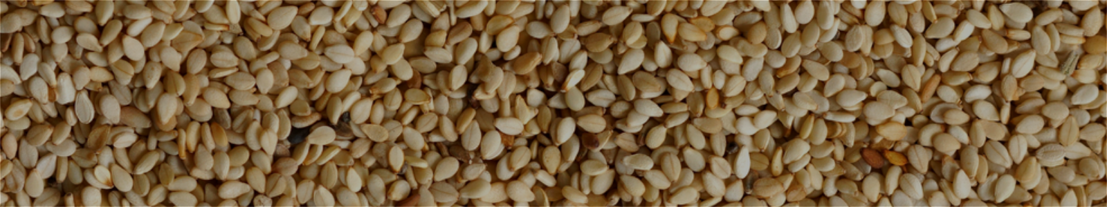 White Natural Sesame