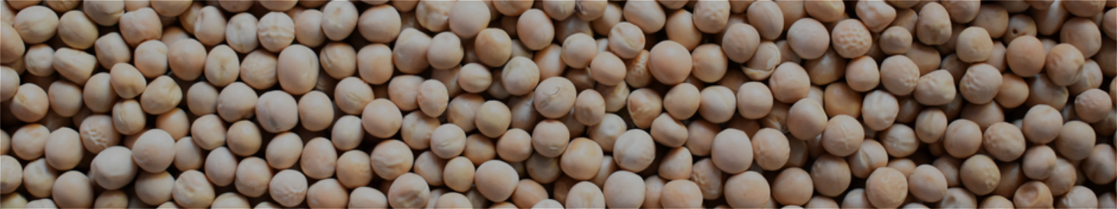 White Peas