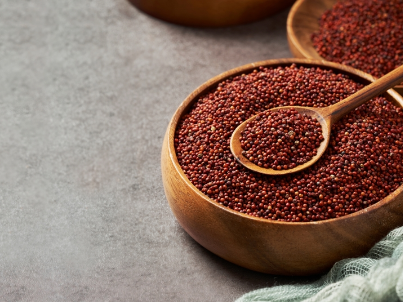 Ragi Red Millet