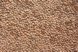 Brown Lentils Whole