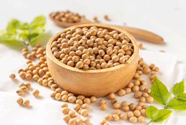Soyabean