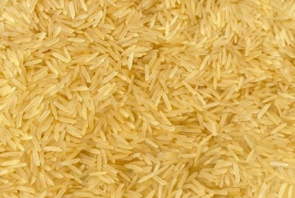 1509 Golden Sella Basmati