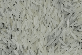 Sugandha Creamy Sella Rice