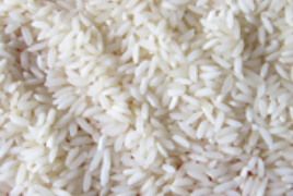 Sona Masoori Steam Rice