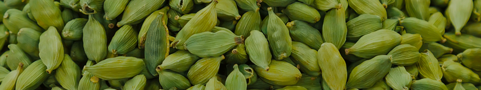 cardamom