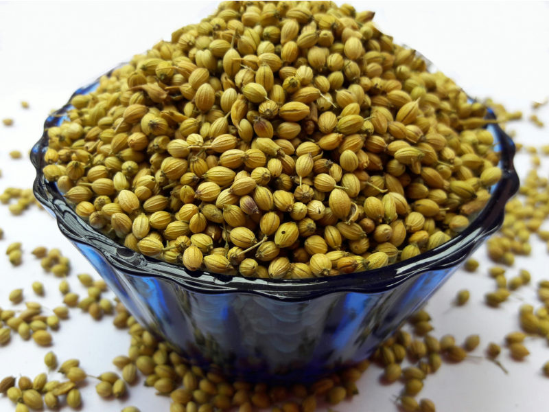 Coriander Seed
