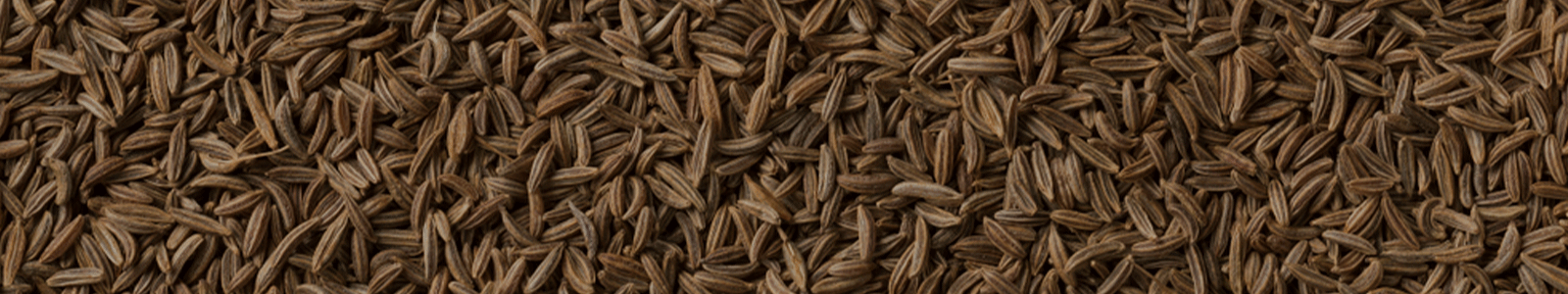 cuminseed